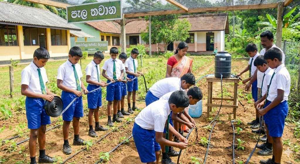 බිංදු ජල සම්පාදනය