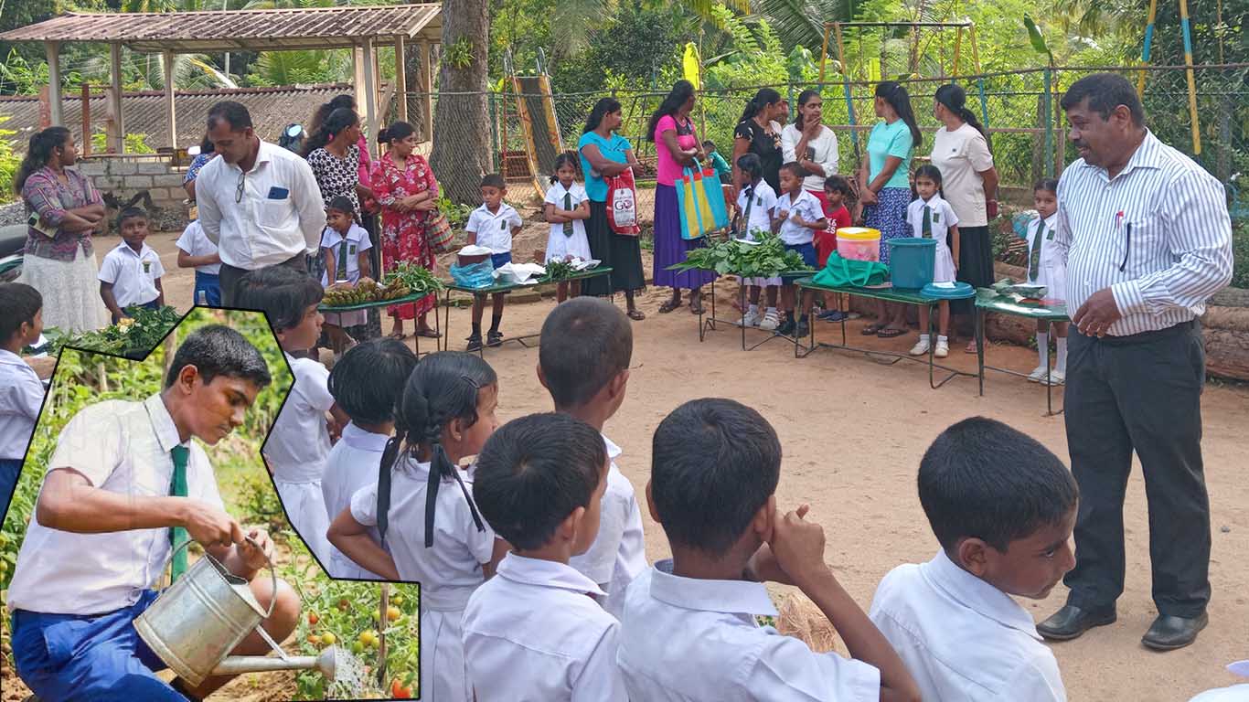 කහවන්දල පාසල් කෘෂි ඒකකයේ කෘෂිකර්ම ව්‍යාපෘතිය