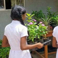 තවාන් පස සැකසීම