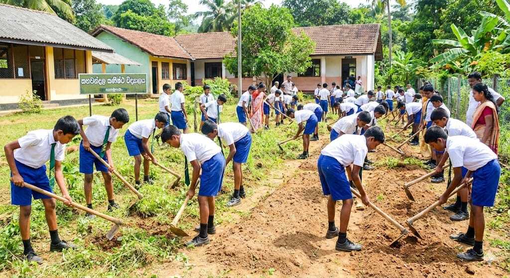 පස සකස් කිරීම