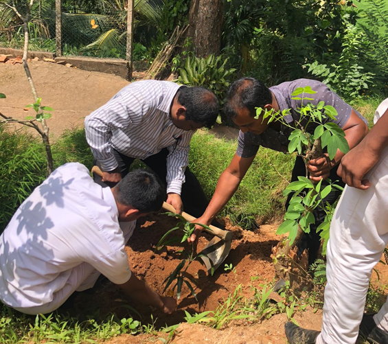 කහවන්දල ගොවි ගම්මානය