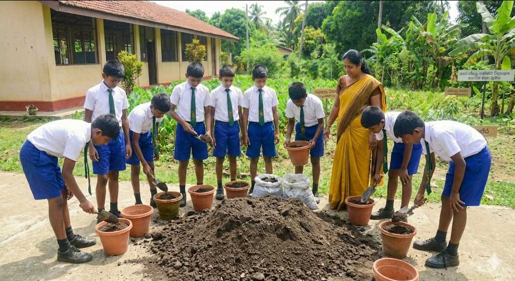 බැල්කනියක විවිධ බඳුන්වල වවා ඇති තක්කාලි, මිරිස් සහ පලා වර්ග